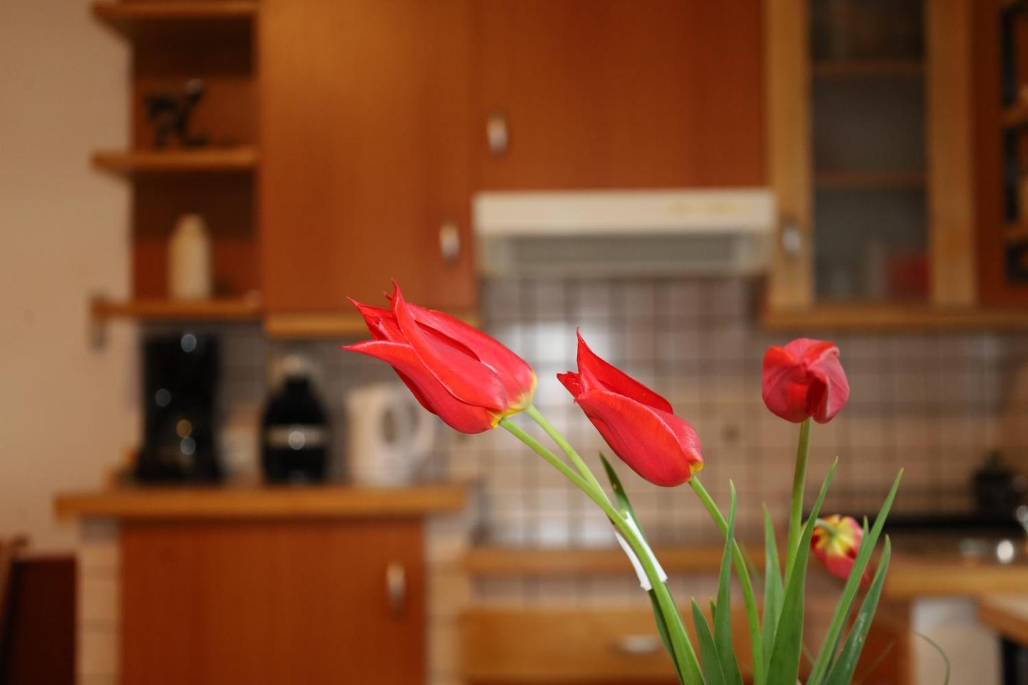 Apartment Norma Bovec Luaran gambar